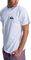 T-SHIRT QUIKSILVER EV MINI LOGO EQYZT08042  (XXL)
