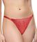  TRIUMPH CRAZY STUPID LOVE STRING   (36)