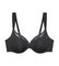  TRIUMPH BMU ILLUSION CURVE W01  (70F)