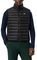������� ������� LACOSTE BH2886 031 ����� (54)