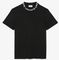 T-SHIRT LACOSTE BRANDING TH9582 031 ΜΑΥΡΟ (M) T-SHIRT LACOSTE BRANDING TH9582 031 ΜΑΥΡΟ (M)