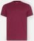 T-SHIRT TIMBERLAND DUNSTAN RIVER TB0A2BPR 648 ������� (XXL)