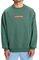 ������ QUIKSILVER DNA EQYFT05120 ������� (M)