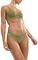 ���� TRIUMPH AURA SPOTLIGHT T BRAZILIAN ����