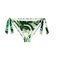BIKINI BRIEF TRIUMPH SUMMER PALM TAI ΠΡΑΣΙΝΟ (44) BIKINI BRIEF TRIUMPH SUMMER PALM TAI ΠΡΑΣΙΝΟ (44)