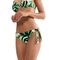 BIKINI BRIEF TRIUMPH SUMMER PALM TAI ������� ...