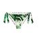 BIKINI BRIEF TRIUMPH SUMMER PALM TAI ������� (46)