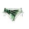 BIKINI BRIEF TRIUMPH SUMMER PALM MIDI 01 ΠΡΑΣΙΝΟ (36) BIKINI BRIEF TRIUMPH SUMMER PALM MIDI 01 ΠΡΑΣΙΝΟ (36)