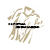 CAMPUS  EVOLUTION 6-