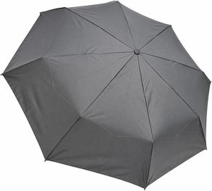 ������� GUY LAROCHE ������ 3S AYTOMATH ����� (55 CM)