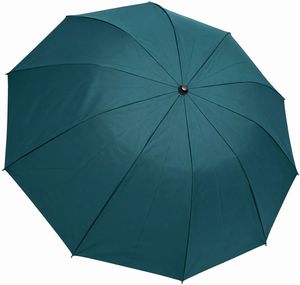 ������� GUY LAROCHE ������ 2S AYTOMATH ������ (58 CM)