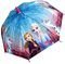    FROZEN 2