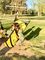 ΚΟΥΝΙΑ TICKET TO THE MOON MINI HAMMOCK CHAIR YELLOW ΚΟΥΝΙΑ TICKET TO THE MOON MINI HAMMOCK CHAIR YELLOW