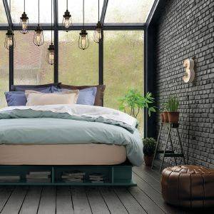 ������� ���� DAS HOME BEST LINE 1002 ���� 170�260CM