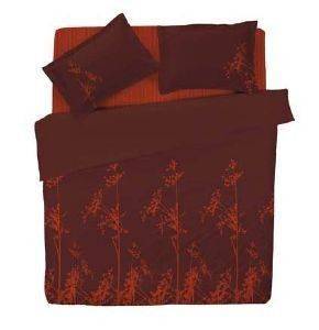 �������� ���� CECILE 04