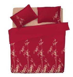 ������������� ���� CECILE 17