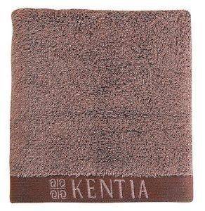 ������� �������� DAILY 04