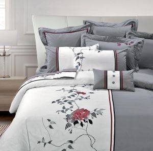 ��� ������������� ���������, ASTRA 924