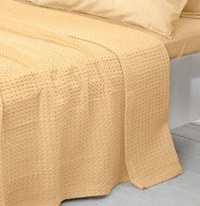 �������� ���� ���� 856