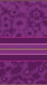 ������� �������� TORODO