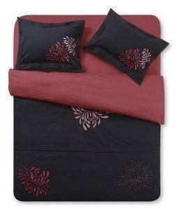 ������������� ��������� LUCIDA