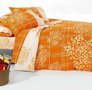 ��� �������� ���������, FREEDOM 4528