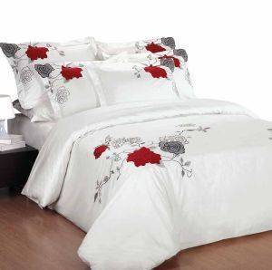 ��� ������������� ���������, ASTRA 1010