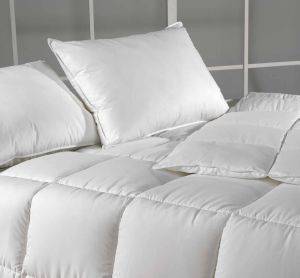 ������� ��������� SUPER SOFT