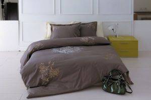 ��� ������� ��������� ������������� DAFNE