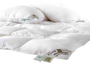 ASLANIS HOME, ALOE VERA ��������