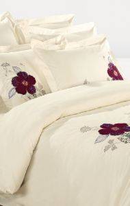 ��� ������������� ���������, ASTRA 1008