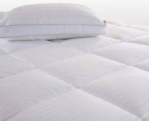 NEF NEF    DUPONT DUVET 