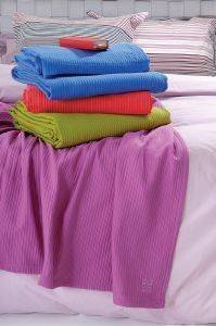 ������ ����������� ���� �������� PALERMO 17