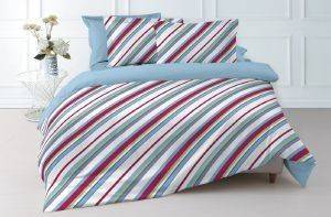 �������� ��������� KENTIA PACIFIC 19