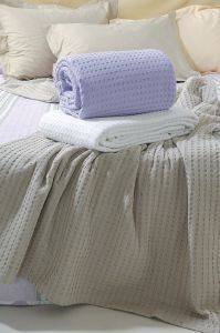 �������� KENTIA ���� SOHO 00