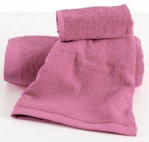 ������� ������  KENTIA  BRAND WINE