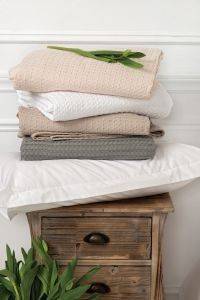 �������A ���� KENTIA SOHO 15 ���� 160�240CM