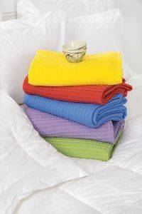 �������A ���� KENTIA SOHO 19 ���� 160�240CM