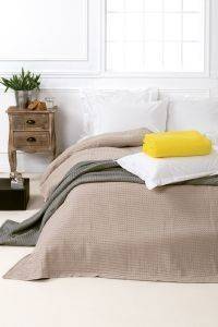 A  KENTIA SOHO 220240CM