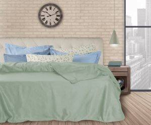 ΚΟΥΒΕΡΤΑ ΜΟΝΗ DAS HOME FLEECE 160X220 341 ΠΡΑΣΙΝΟ ΚΟΥΒΕΡΤΑ ΜΟΝΗ DAS HOME FLEECE 160X220 341 ΠΡΑΣΙΝΟ