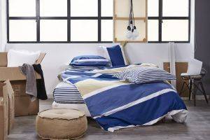 ��� �������� ��������� KENTIA V�RSUS ROUTE 1 ����  230�265CM