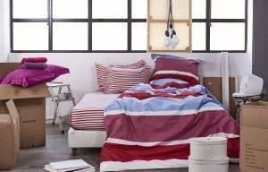 ��� ������������� ���� KENTIA V�RSUS ROUTE 17 �������