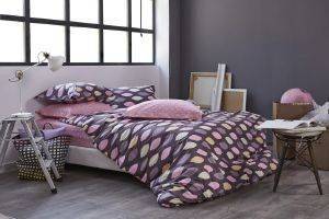 ��� �������� ��������� KENTIA V�RSUS NASIA 18 ���  230�265CM