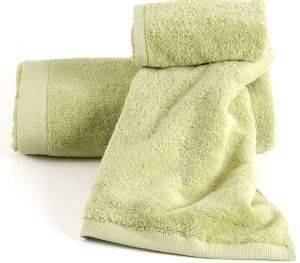  KENTIA  BRAND LIME  40X60CM