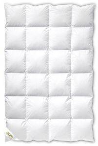 ΠΑΠΛΩΜΑ ΜΟΝΟ DILIOS PURE COTTON ΛΕΥΚΟ HOLLOWFIBERS 150X210CM ΠΑΠΛΩΜΑ ΜΟΝΟ DILIOS PURE COTTON ΛΕΥΚΟ HOLLOWFIBERS 150X210CM
