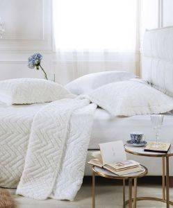    KENTIA SERENITY MONTECARLO  3MX  230250CM