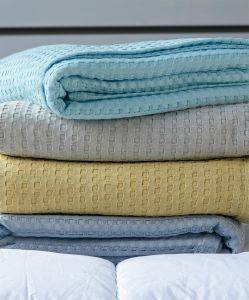 �������� ���� KENTIA SOHO 24 ���� ���� 170X240CM