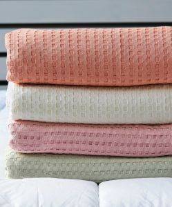 �������� ���� KENTIA SOHO 40 ����� ���� 170X240CM