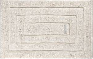   GUY LAROCHE OTTAWA  ICE 55X85CM