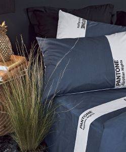 ΣΕΝΤΟΝΙΑ ΥΠΕΡΔΙΠΛΑ KENTIA PANTONE 4229 ΜΠΛΕ 4TMX 240X275CM ΣΕΝΤΟΝΙΑ ΥΠΕΡΔΙΠΛΑ KENTIA PANTONE 4229 ΜΠΛΕ 4TMX 240X275CM
